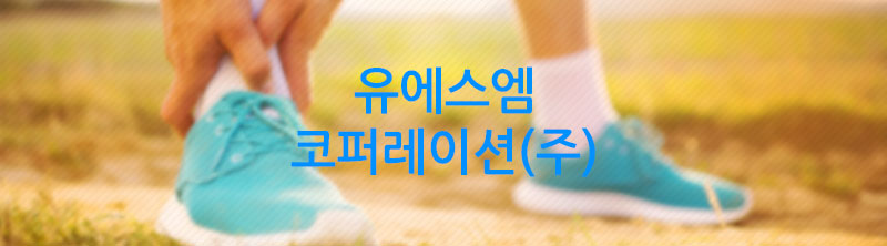 유에스엠 코퍼레이션(주)